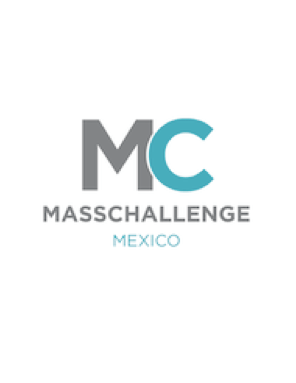 Masschallenge - Connecting The Dots
