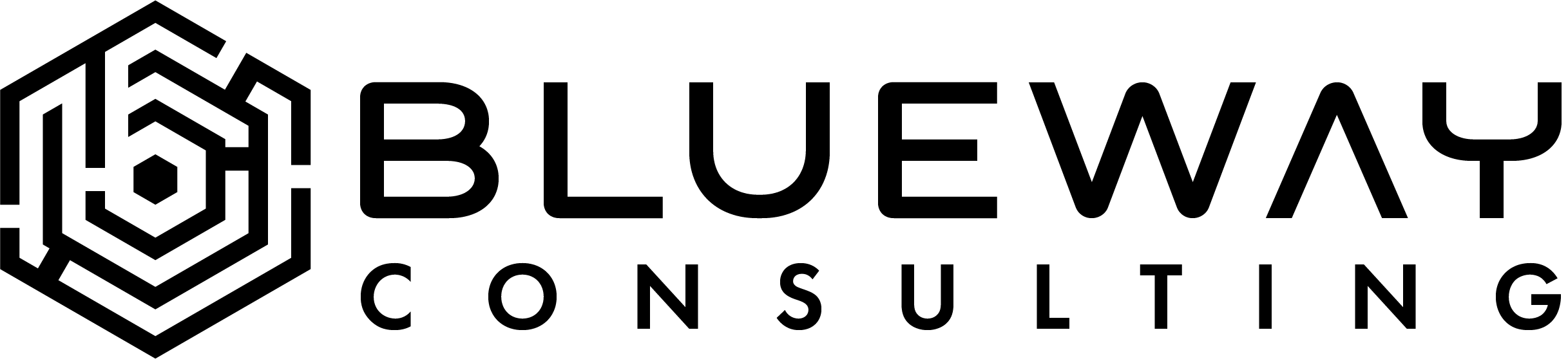 Blueway consulting ( negro)